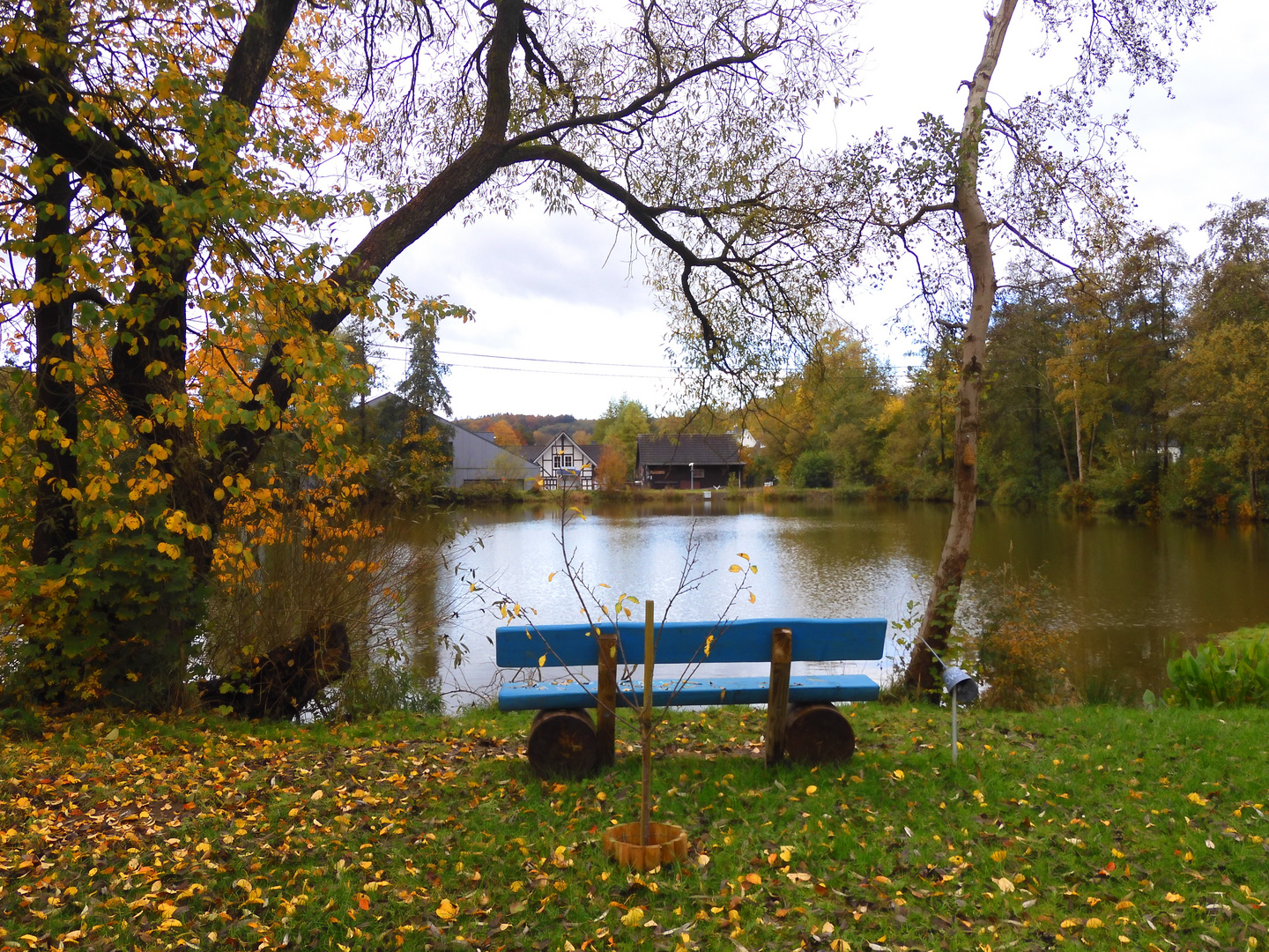 Herbstliches Plätzchen