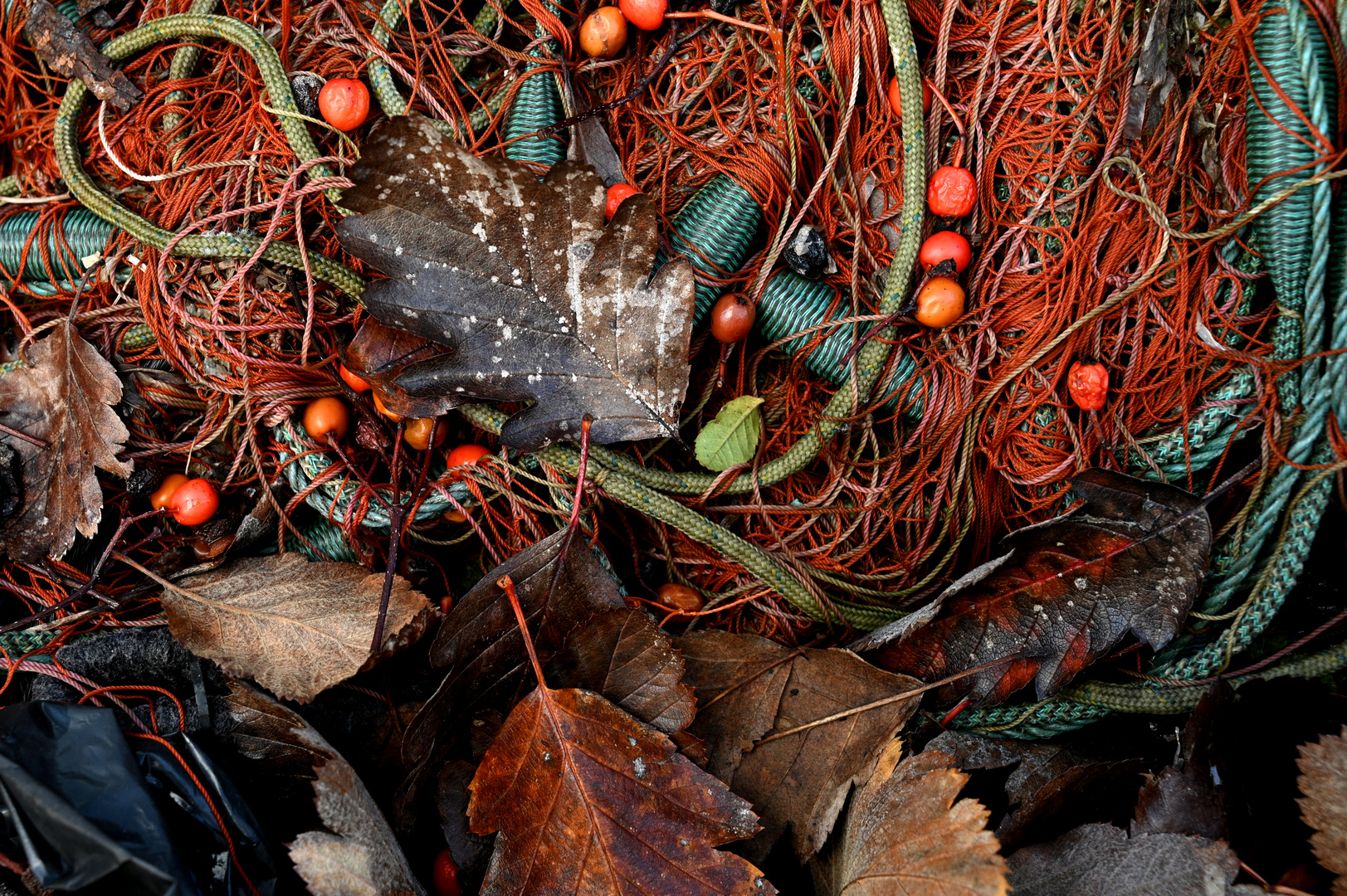 Herbstliches Potpourri