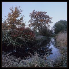 Herbstliches Potpourri