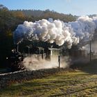 herbstliches Preßnitztal