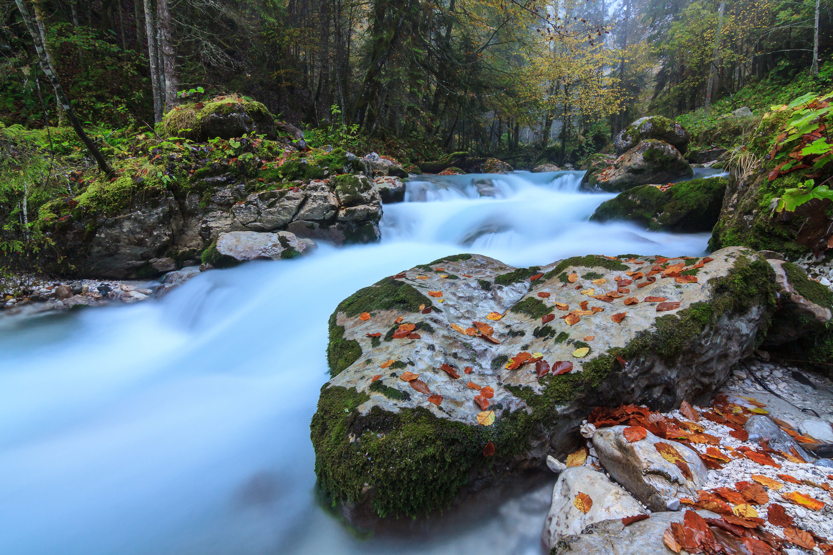 herbstliches Rauschen