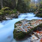 herbstliches Rauschen