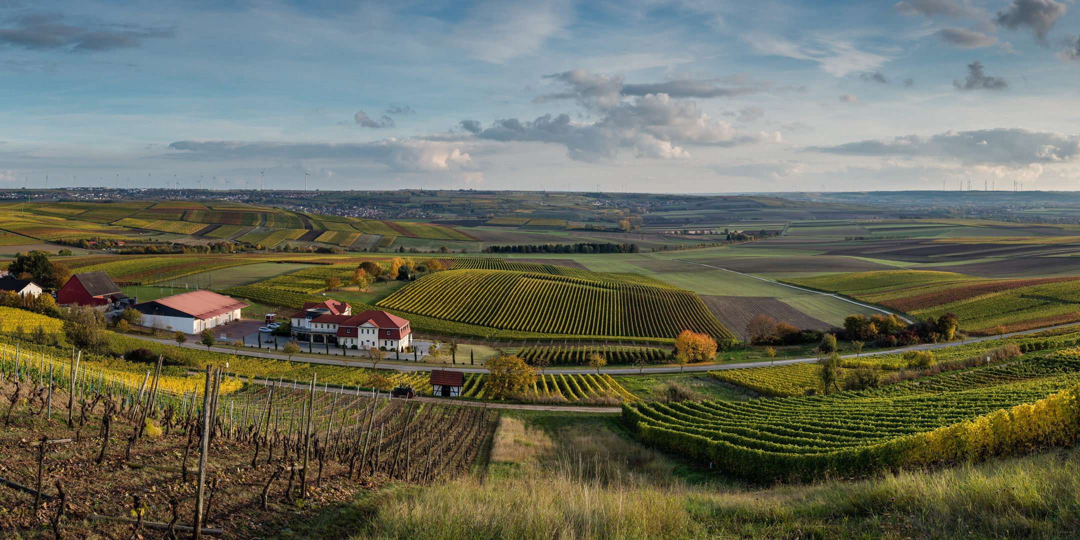 Herbstliches Rheinhessen (1.2)