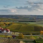 Herbstliches Rheinhessen (1.3)