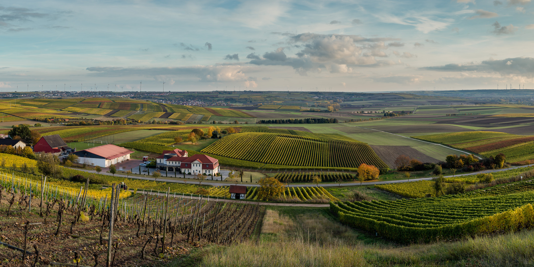 Herbstliches Rheinhessen (2.2)