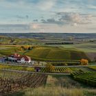 Herbstliches Rheinhessen (2.2)