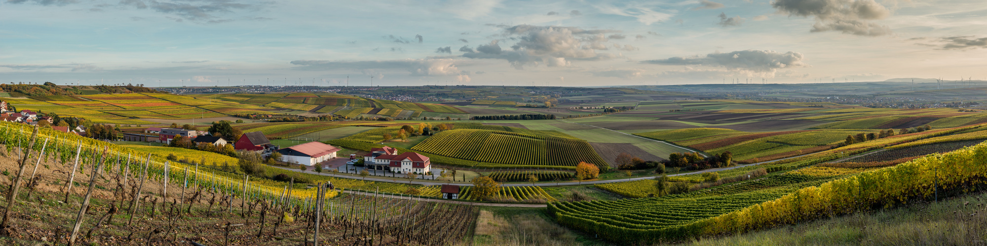 Herbstliches Rheinhessen (2.4)