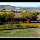 herbstliches Rheinhessen