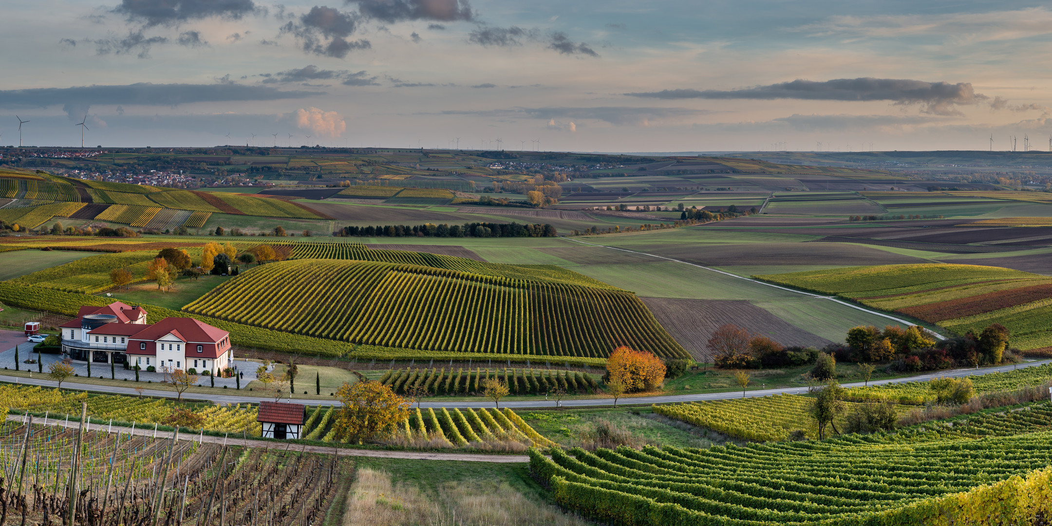 Herbstliches Rheinhessen (7.2)