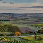 Herbstliches Rheinhessen (7.3)