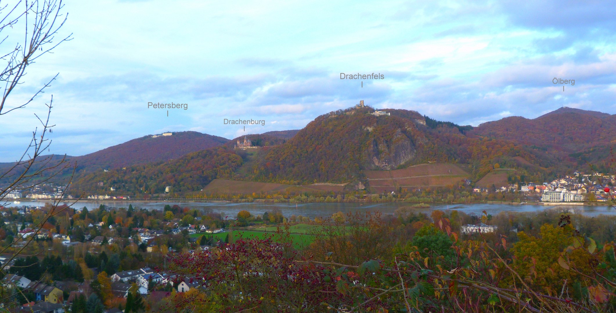 herbstliches Rheinpanorama