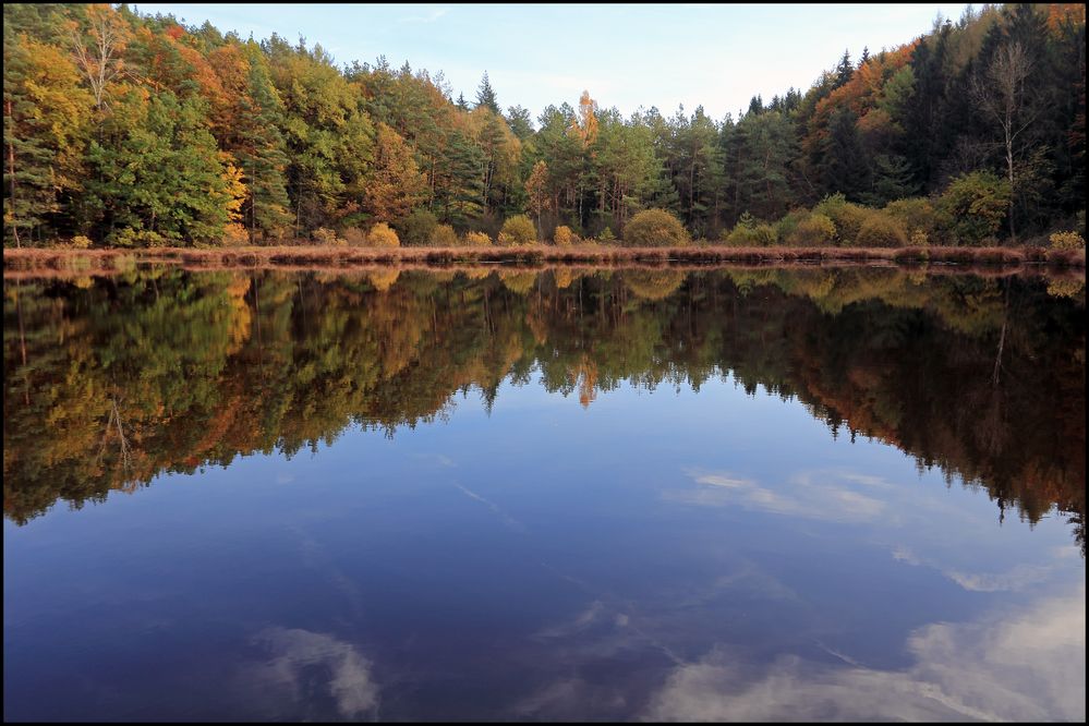 Herbstliches Ried