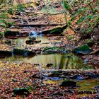 herbstliches Rinnsal