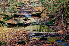 herbstliches Rinnsal