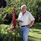 Herbstliches, Rizinuspflanze in voller Größe 10/10