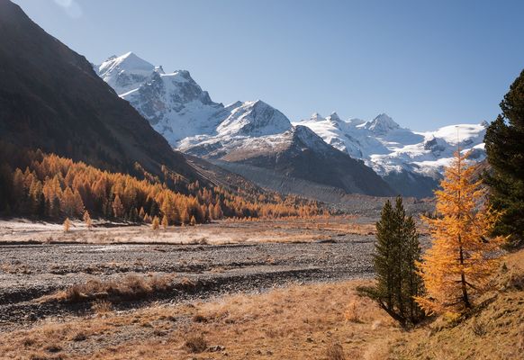 herbstliches Rosegtal