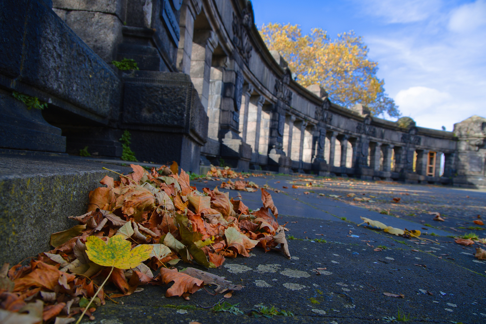 Herbstliches Rund