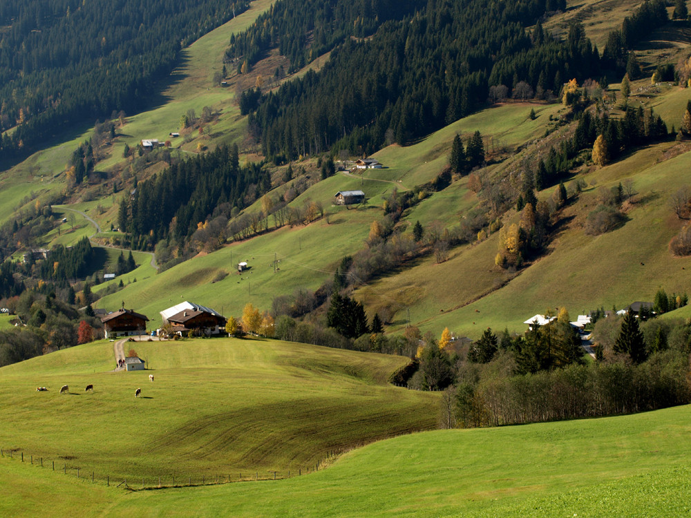 Herbstliches Salzburgerland