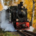 Herbstliches Sauerland