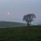 Herbstliches Sauerland