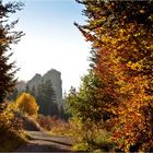 Herbstliches Sauerland