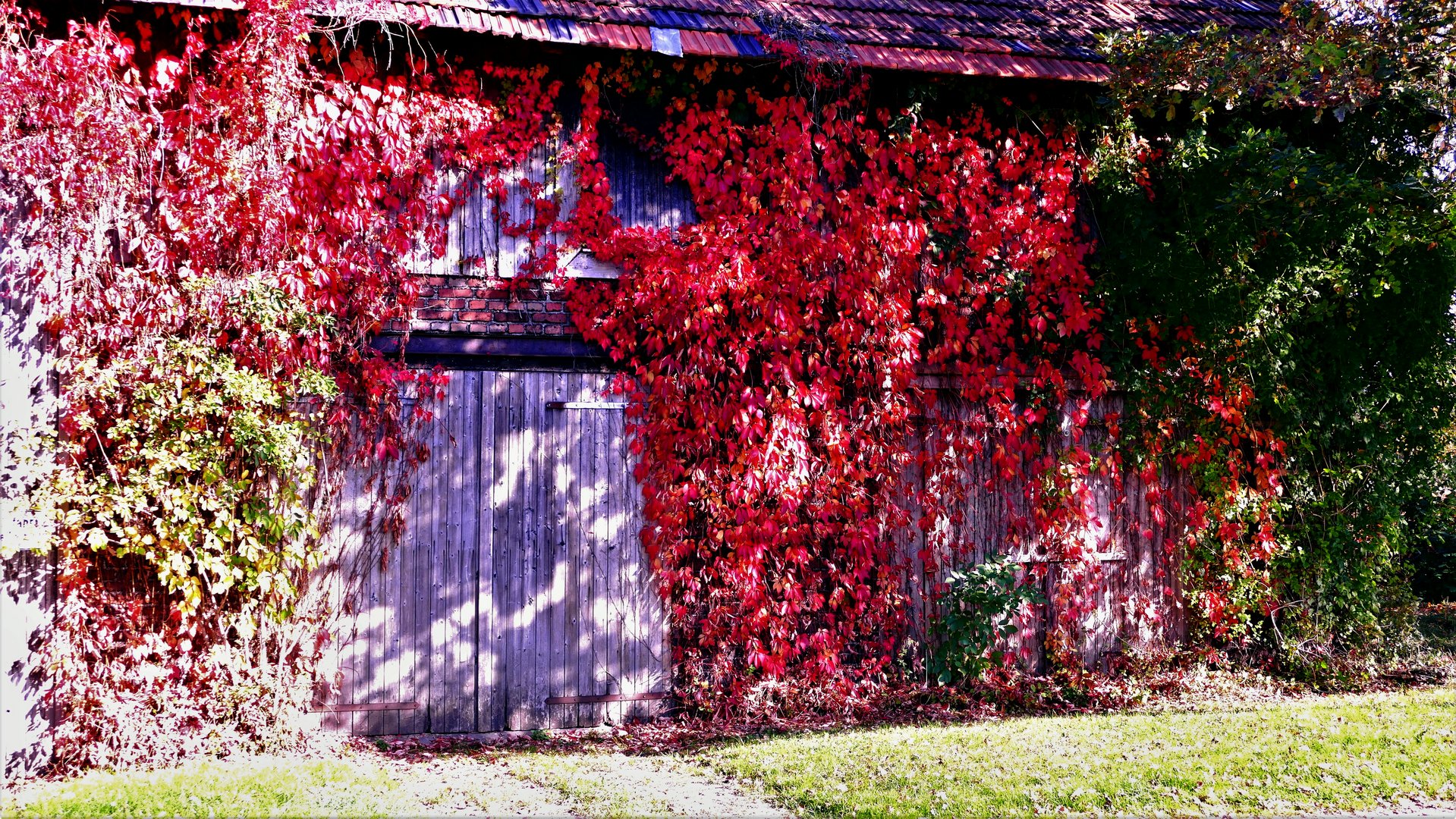 Herbstliches Scheunentor