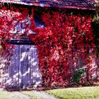 Herbstliches Scheunentor