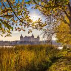 Herbstliches Schloss Moritzburg