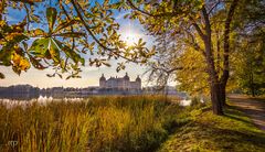 Herbstliches Schloss Moritzburg