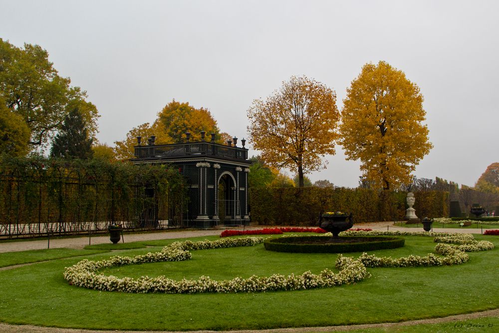 Herbstliches Schloss Schönbrunn