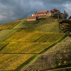 Herbstliches Schloss Staufenberg (Durbach)