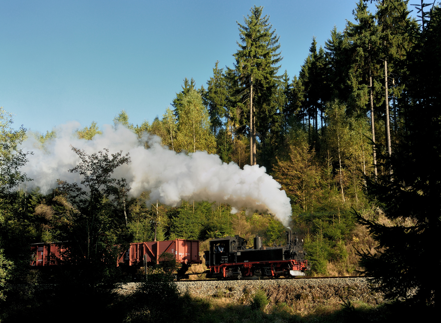 Herbstliches Schwarzwassertal