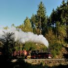 Herbstliches Schwarzwassertal