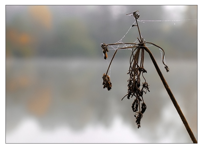 Herbstliches Schweigen