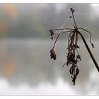 Herbstliches Schweigen