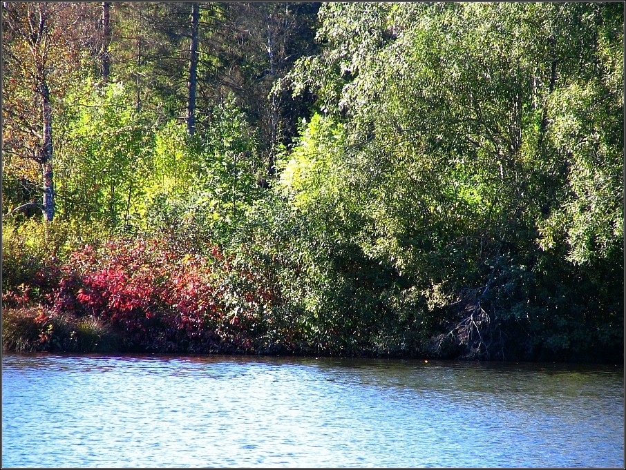 Herbstliches Seeufer