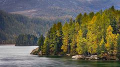 Herbstliches Seeufer