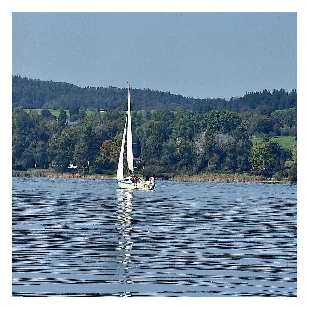 Herbstliches Segeln auf dem Untersee