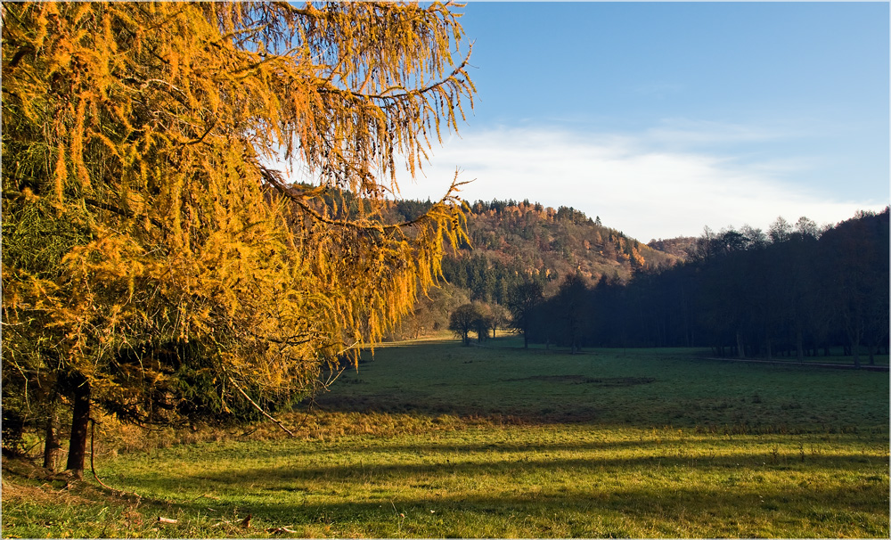 Herbstliches Selketal