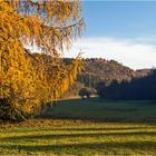 Herbstliches Selketal