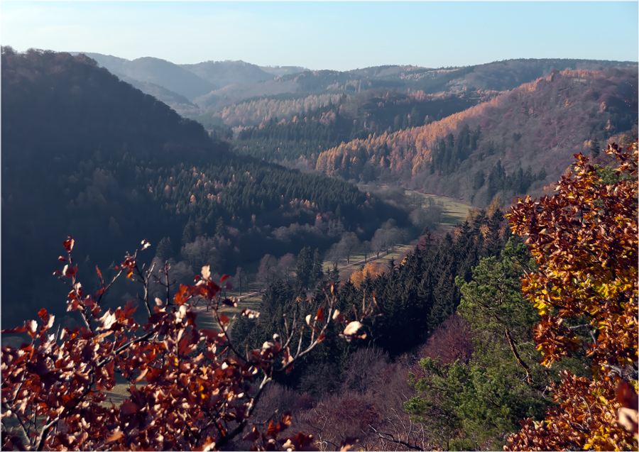 Herbstliches Selketal