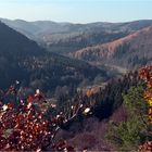 Herbstliches Selketal