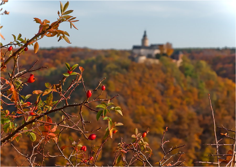 Herbstliches Selketal