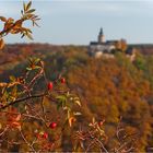 Herbstliches Selketal