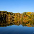 herbstliches Selketal