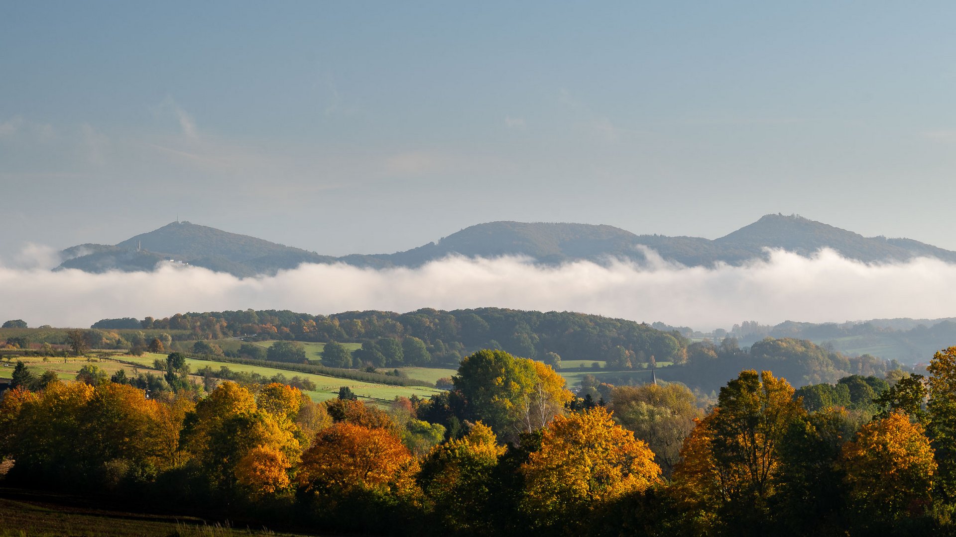 Herbstliches Siebengebirge