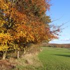 Herbstliches Siegerland