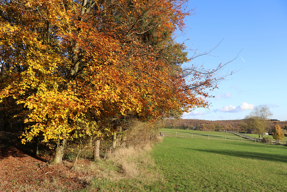 Herbstliches Siegerland