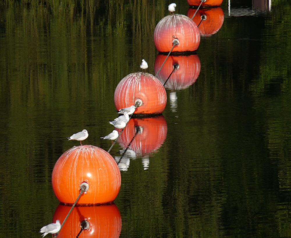 Herbstliches Sit-In