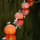 Herbstliches Sit-In